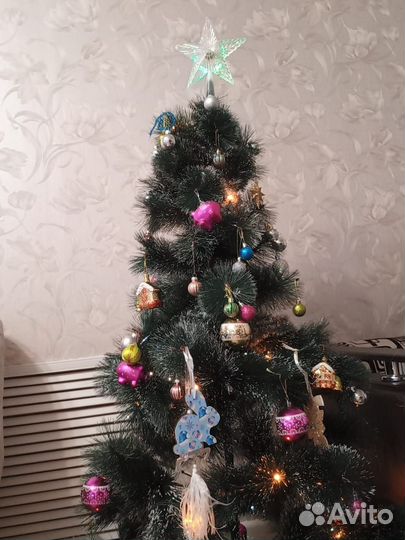 Сосна новогодняя