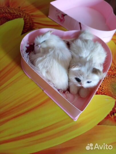 Сувенир оберег котики украшение интерьера