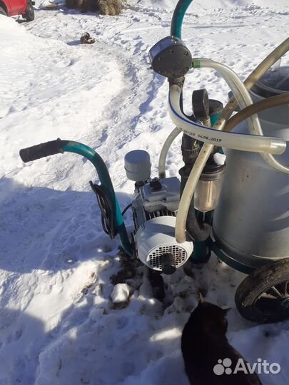 Доильный аппарат для коров бу