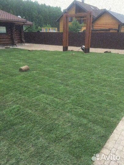 Рулонные газоны