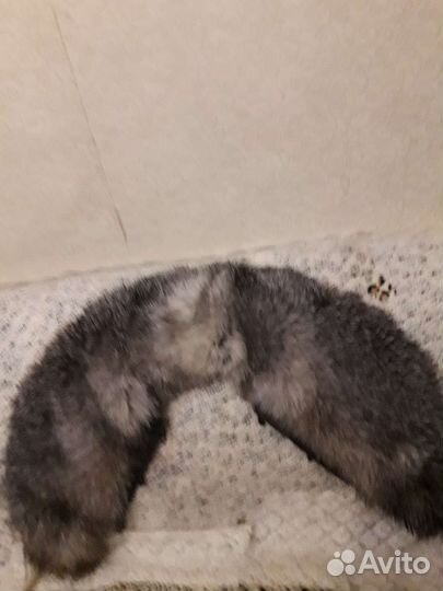 Воротник:норка и чернобурка