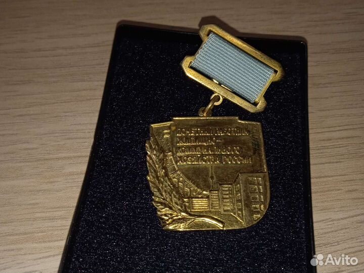 Нагрудный знак России