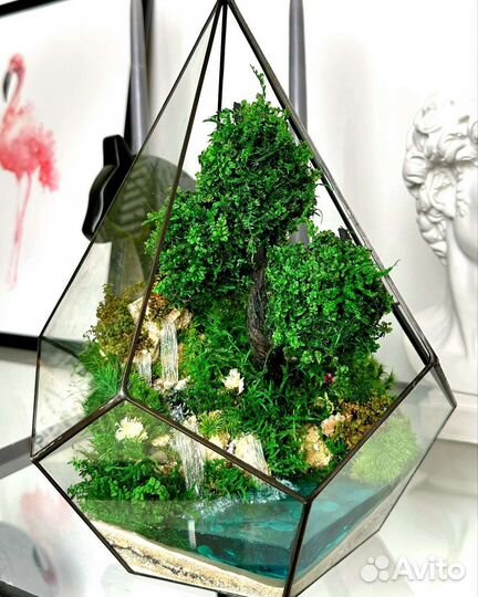 Флорариум Моссариум Подарки Цветы Композиция