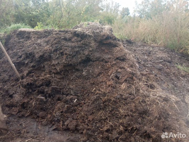 Перегной - навоз
