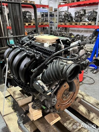 Двигатель mgda Ford Focus контрактный