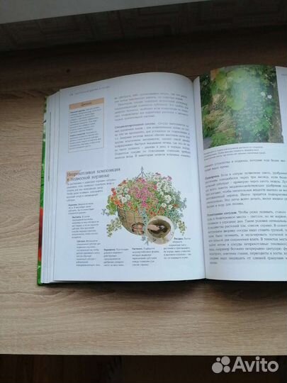 Дивный сад без лишних хлопот