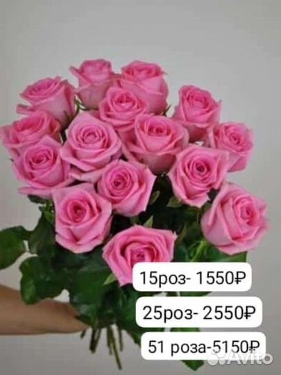 Розы с крупными бутонами