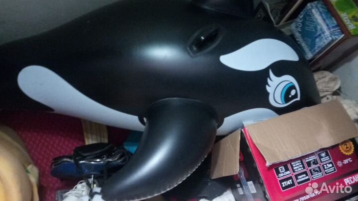 С спх касатка