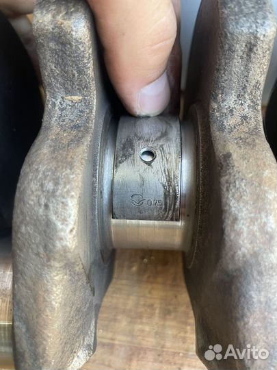 Коленвал надежда