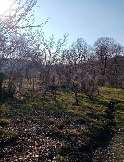 Участок 8 сот. (ИЖС)