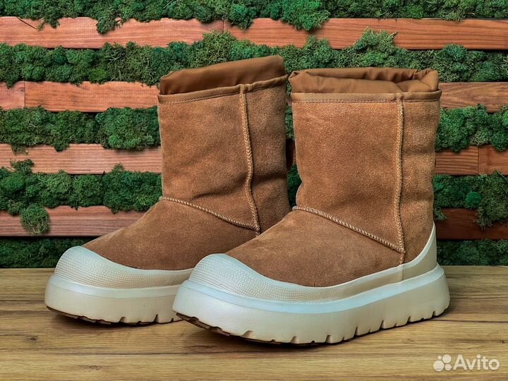 UGG Classic Short Weather Hybrid Boot Chestnut Whi