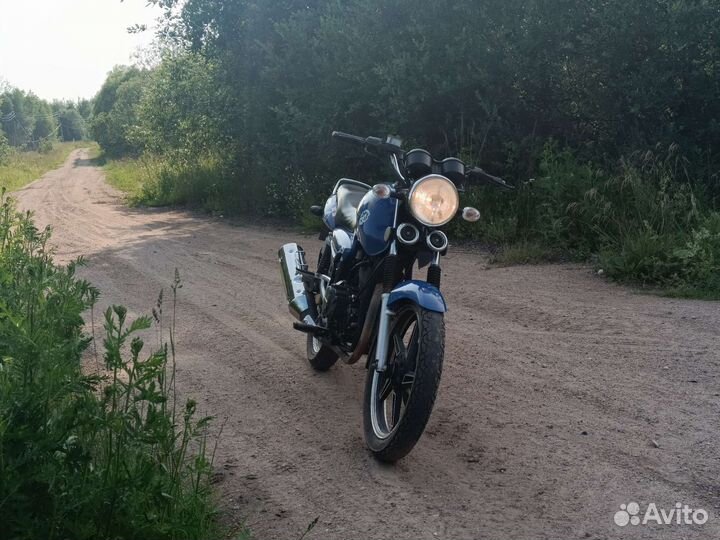 Stels delta 200