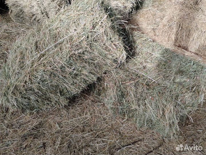 Сено в тюках
