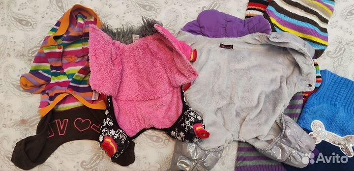 Одежда для собак мелких пород