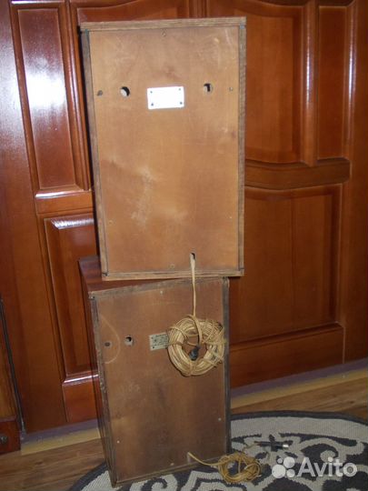 Колонки акустика Вега 3 ас-505