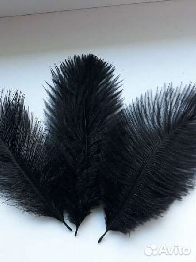 Перья страуса