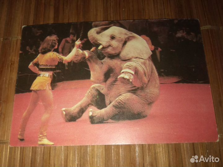 Календарики Цирк СССР Никулин. Цена за все