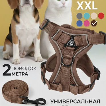 Шлейка для собаки
