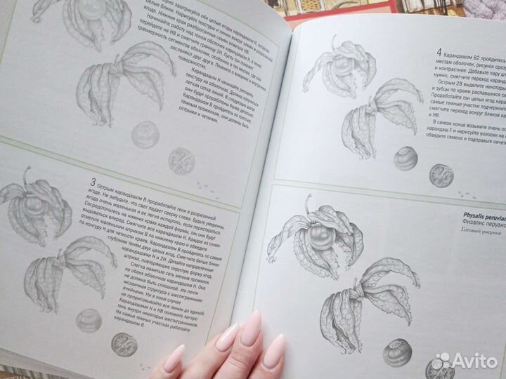 Книги по рисованию