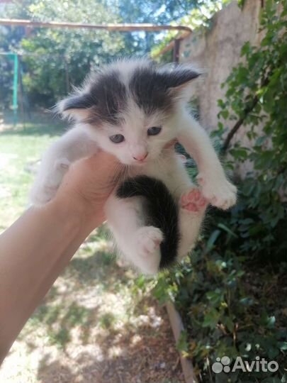 Мы хотим жить