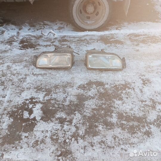 Вары подойдут к Фреду