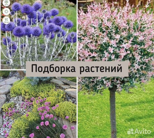 Ландшафтный дизайнер