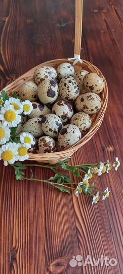 Яйца перепелиные