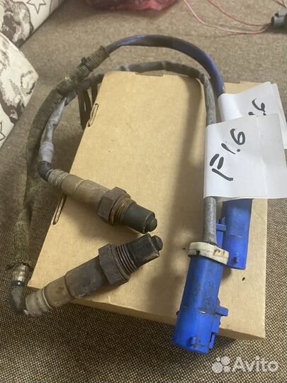 Ford focus 2 1.6 лямбда зонд