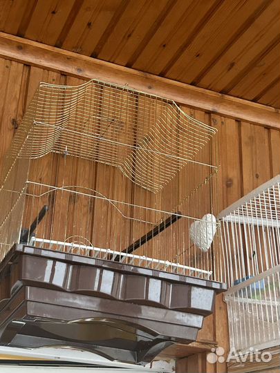 Клетка для птиц бу