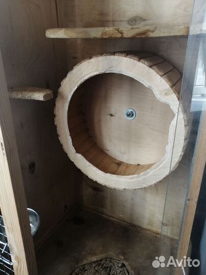 Витрина для шиншилл (б/у)