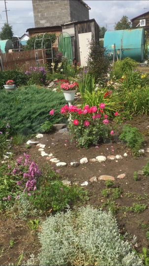 Участок 6 сот. (СНТ, ДНП)