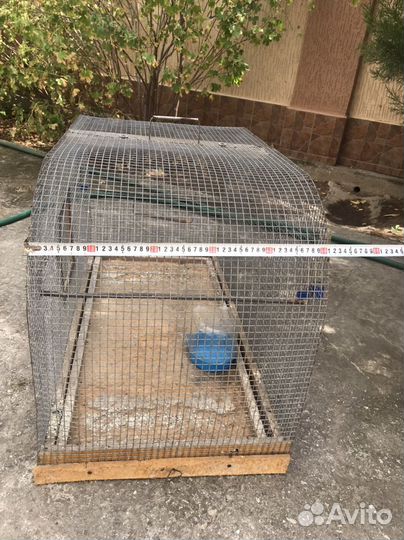 Клетки для птиц