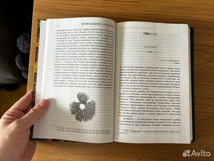 Книга Запутанная жизнь Мерлин Шелдрейк