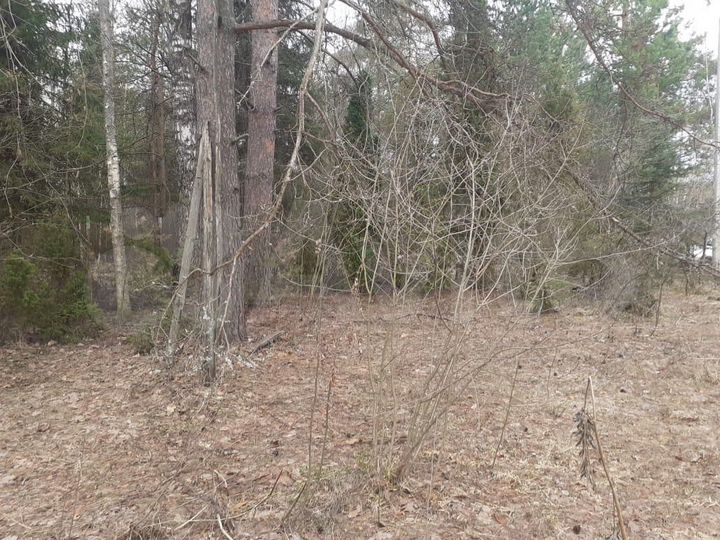 Участок 12 сот. (СНТ, ДНП)