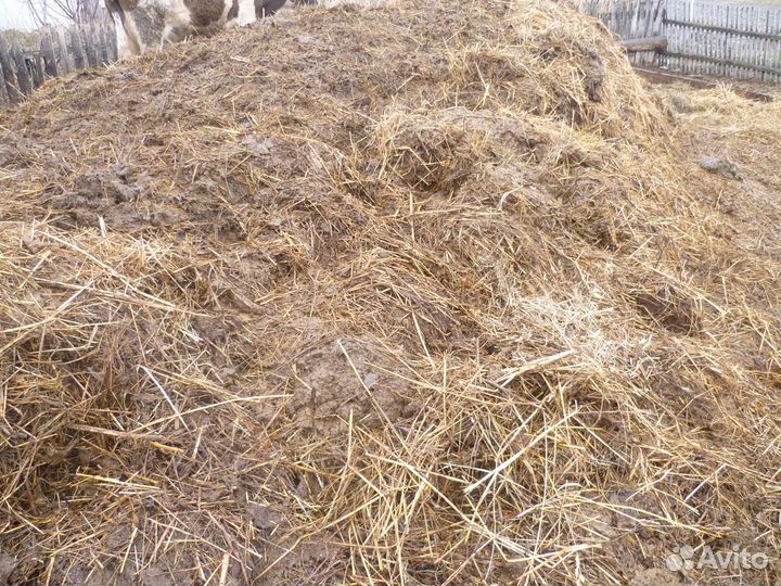 Продам навоз коровий