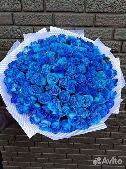 Синие розы Цветы Доставка