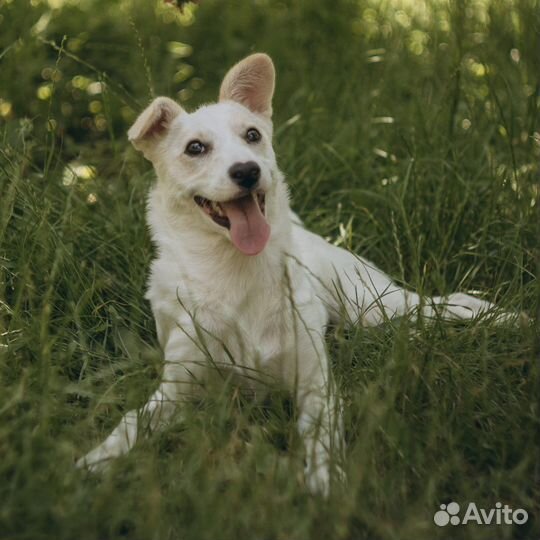 Маленькая Белочка с сердечком для любви