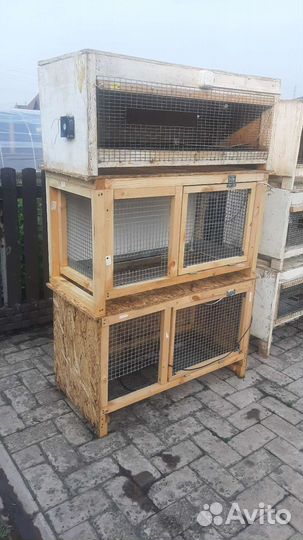 Брудэры для цеплят