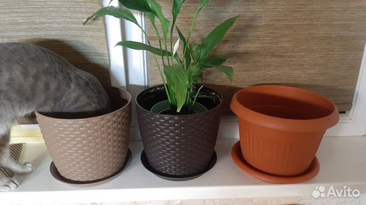 Горшок для цветов