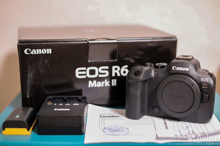 Canon eos r6 mark ii body