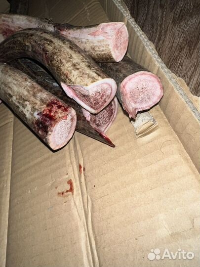 Рожки для пёселя