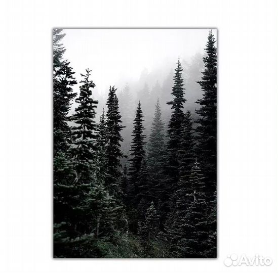 Набор картин на холсте 