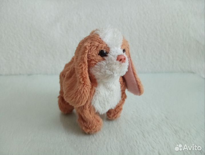 Собачка заводная игрушечная