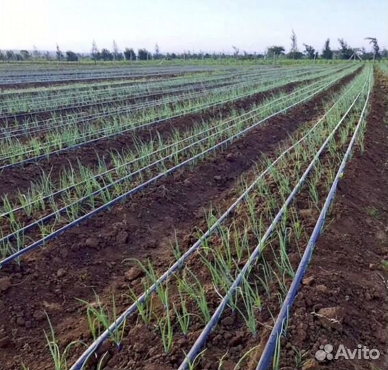 Капельная лента