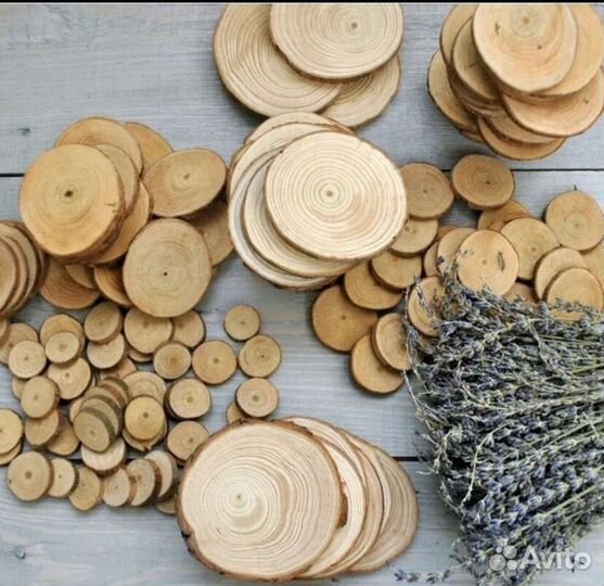 Спилы дерева для творчества и дизайна