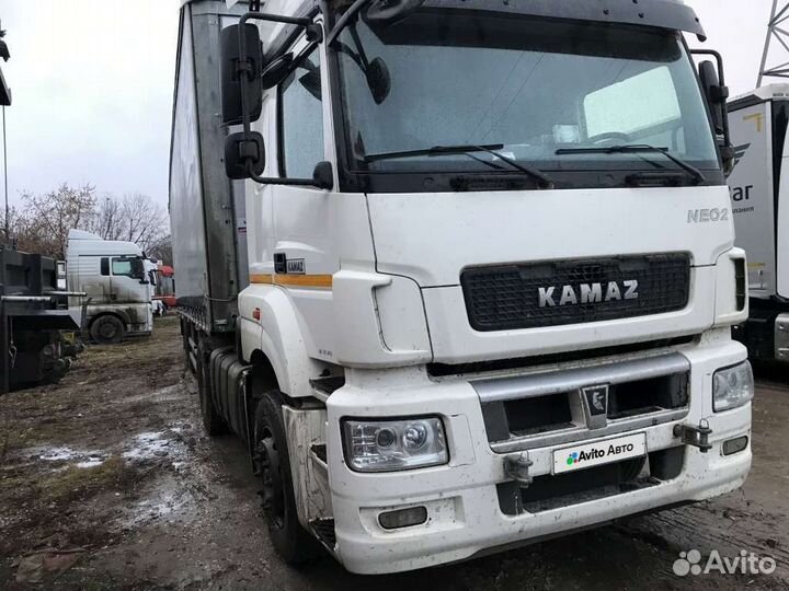 КАМАЗ 5490, 2020