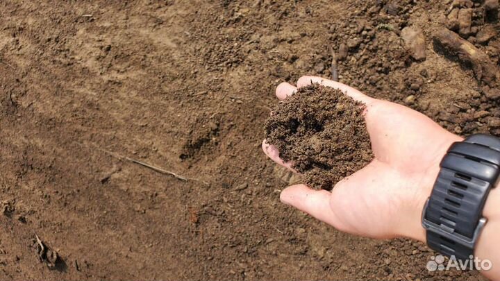 Земля плодородная