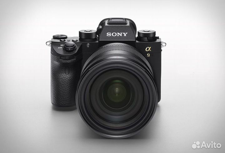 Alpha A1 Kit Sony FE 24mm f/1.4 GM