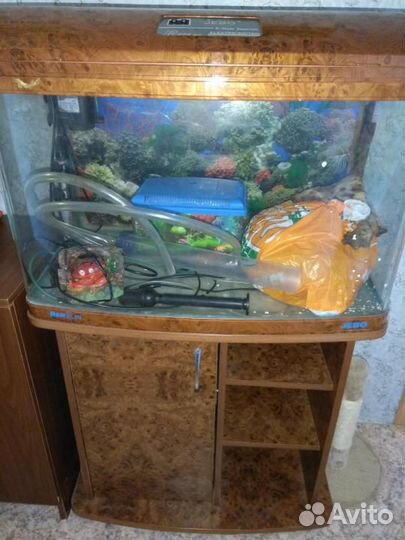 Аквариум