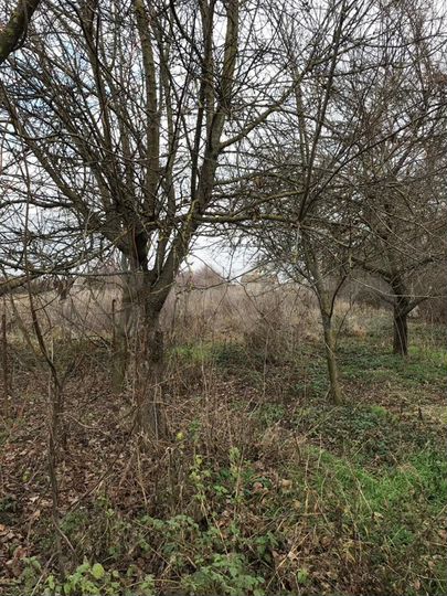 Дом 47,8 м² на участке 15 сот.